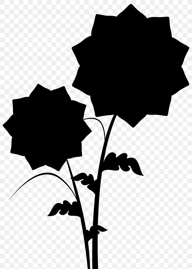 Rose Family Black & White, PNG, 4275x5971px, Rose Family, Black M, Black White M, Blackandwhite, Branching Download Free