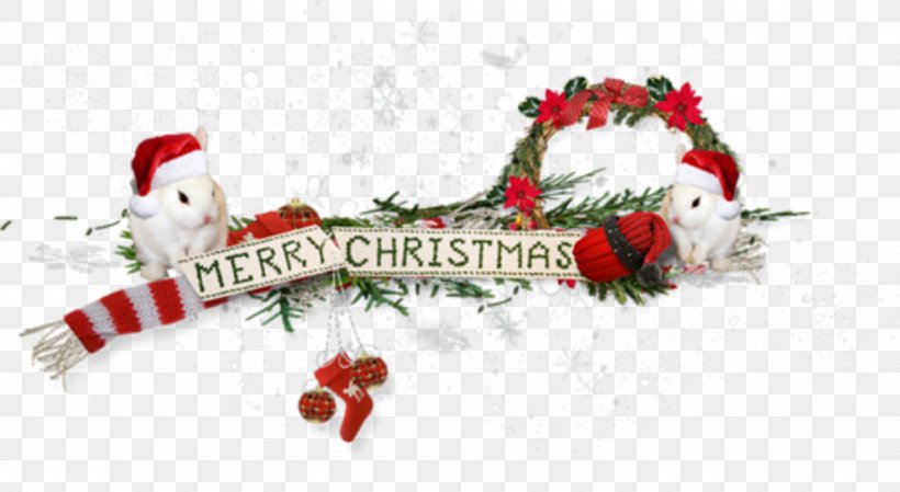 Santa Claus Blog Christmas Ornament, PNG, 980x537px, Santa Claus, Blog, Brasserie Saintgermain, Christmas, Christmas Decoration Download Free