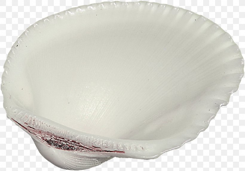 Seashell Clam Scallop, PNG, 1124x783px, Seashell, Bowl, Clam, Google Images, Pearl Download Free