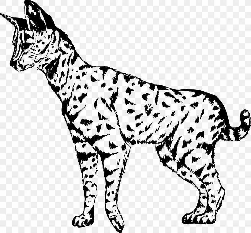 Whiskers Wildcat Domestic Short-haired Cat Savannah Cat Clip Art, PNG, 2400x2230px, Whiskers, Animal Figure, Big Cats, Black, Black And White Download Free