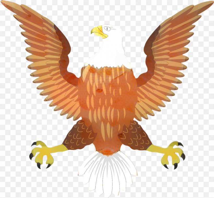 Bird Logo, PNG, 1278x1189px, Bald Eagle, Accipitridae, Animal Figure, Beak, Bird Download Free