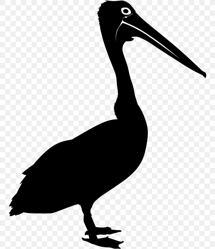 Bird Silhouette, PNG, 755x949px, Australian Pelican, Beak, Bird, Brown Pelican, Ciconiiformes Download Free