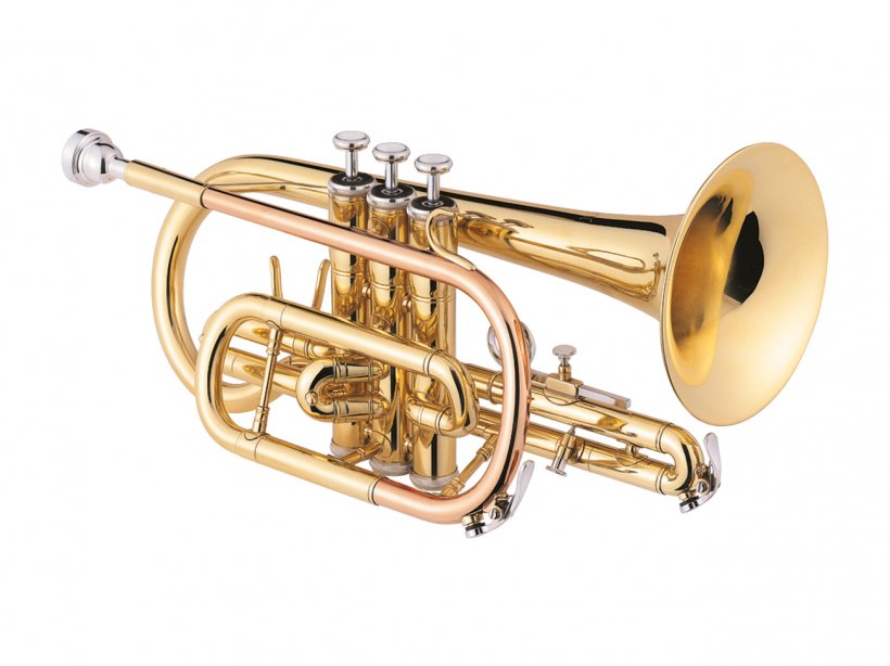 Cornet Trumpet Brass Instrument Valve Brass Instruments Clarinet, PNG, 1301x975px, Watercolor, Cartoon, Flower, Frame, Heart Download Free