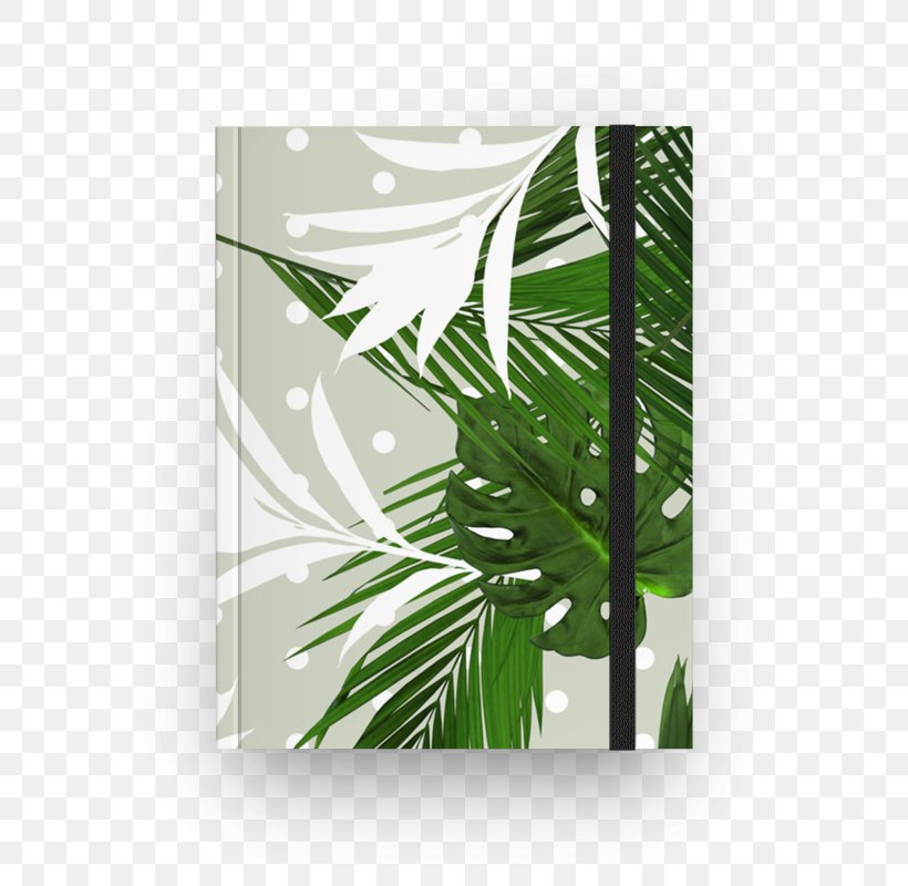 Rectangle Leaf, PNG, 800x800px, Rectangle, Glass, Green, Leaf, Tree Download Free