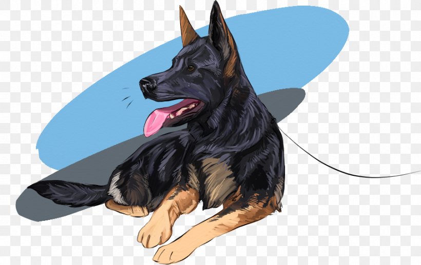 German Shepherd Dog Breed Leash Snout, PNG, 904x570px, German Shepherd, Breed, Carnivoran, Dog, Dog Breed Download Free