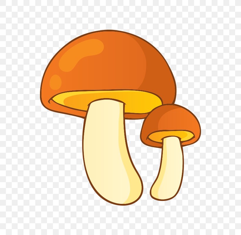 Mushroom Fungus Illustration, PNG, 800x800px, Mushroom, Cartoon, Edible Mushroom, Food, Fungus Download Free