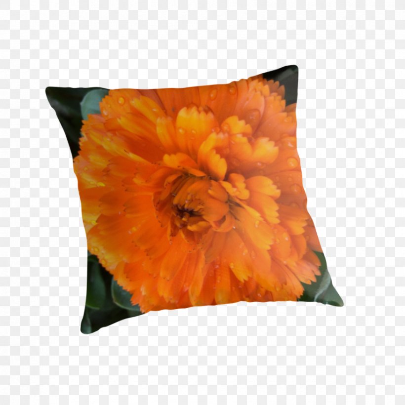 Throw Pillows Cushion Flowering Plant Petal, PNG, 875x875px, Throw Pillows, Cushion, Flower, Flowering Plant, Orange Download Free
