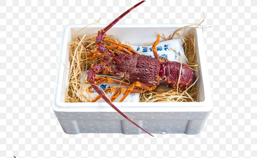 Australia Lobster Take-out Seafood Palinurus Elephas, PNG, 750x504px, Australia, Animal Source Foods, Cuisine, Food, Gastronomy Download Free