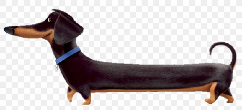 Dachshund Bichon Frise Dog Breed Cat Pet, PNG, 932x427px, Dachshund, Animal Figure, Animated Film, Bichon Frise, Breed Download Free