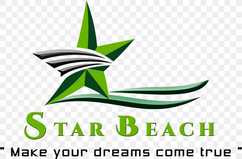 Star Beach Logo Business Marketing, PNG, 1166x768px, Logo, Architectural Engineering, Area, Artwork, Beach Download Free