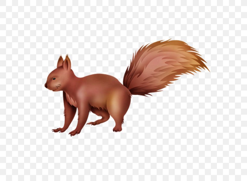 Red Fox Squirrel Cartoon, PNG, 600x600px, Red Fox, Canidae, Carnivora, Carnivoran, Cartoon Download Free