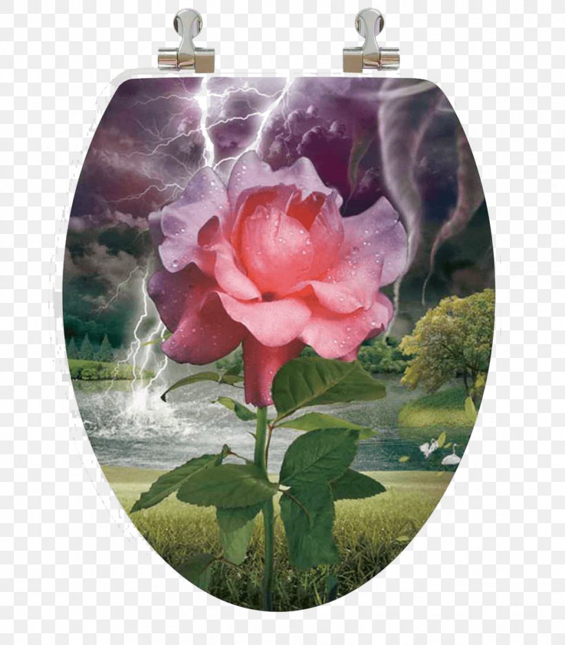 Garden Roses Toilet & Bidet Seats Wood, PNG, 992x1134px, 3d Film, Garden Roses, Bowl, Centifolia Roses, Chrome Plating Download Free