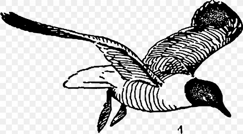 Gulls Bird Line Art Clip Art, PNG, 2152x1187px, Gulls, Animal Figure, Art, Artwork, Beak Download Free