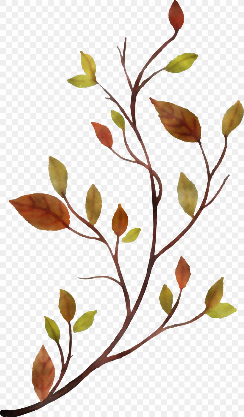 Plant Stem Flower Leaf Twig Tree, PNG, 1758x3000px, Watercolor Autumn, Biology, Colorful Leaf, Flora, Flower Download Free