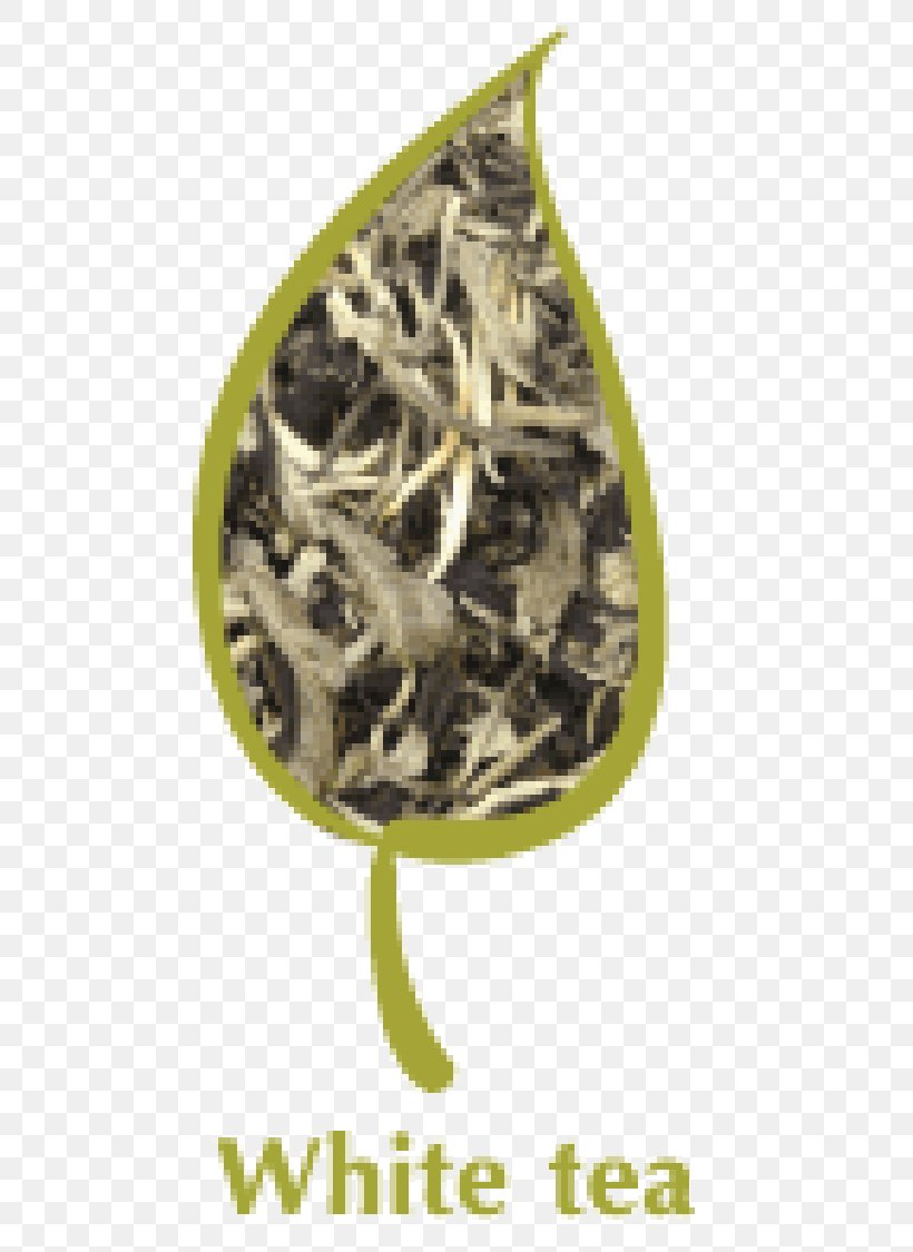 White Tea Green Tea Bubble Tea Oolong, PNG, 600x1125px, Tea, Black Tea, Bubble Tea, Camellia Sinensis, Chinese Tea Download Free