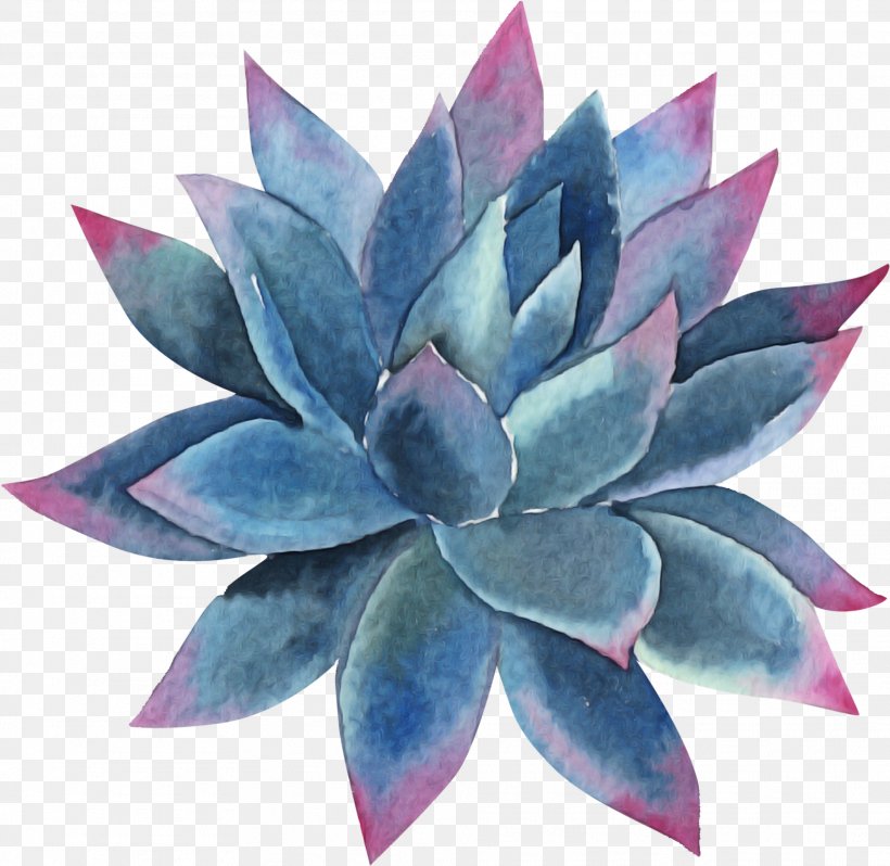 Blue Echeveria Flower Leaf Plant, PNG, 1919x1869px, Blue, Agave, Echeveria, Flower, Leaf Download Free