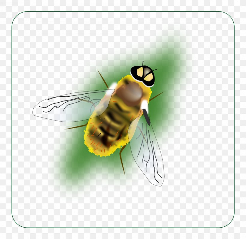 Bumblebee Hornet Insect Clip Art, PNG, 900x878px, Bee, Arthropod, Beehive, Bumblebee, Fly Download Free