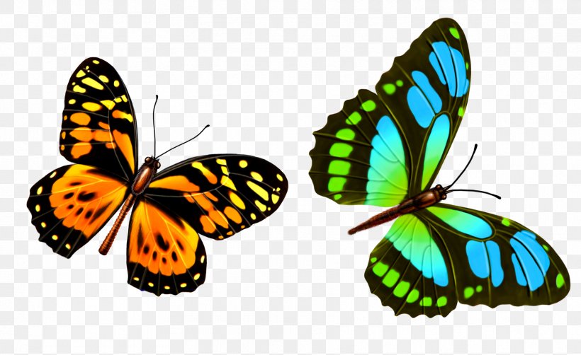 Butterfly Wallpaper, PNG, 1772x1086px, 3d Computer Graphics, Butterfly, Adobe Imageready, Animation, Arthropod Download Free