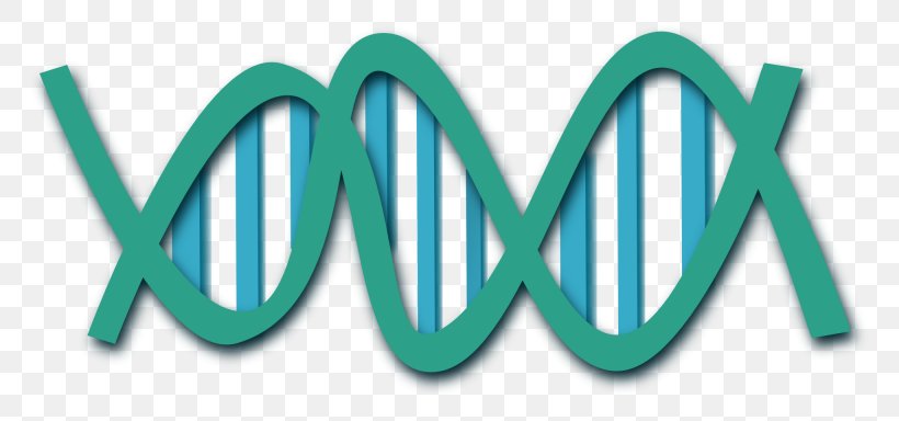 DNA Nucleic Acid Double Helix Clip Art, PNG, 768x384px, Dna, Biology, Brand, Dna Extraction, Genetic Testing Download Free