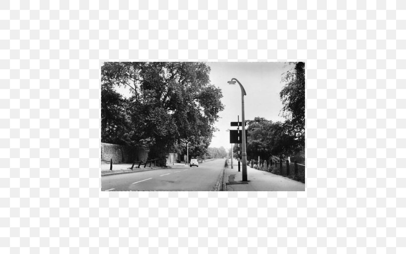 Street Light Photography, PNG, 514x514px, Light, Black, Black And White, Lane, Monochrome Download Free