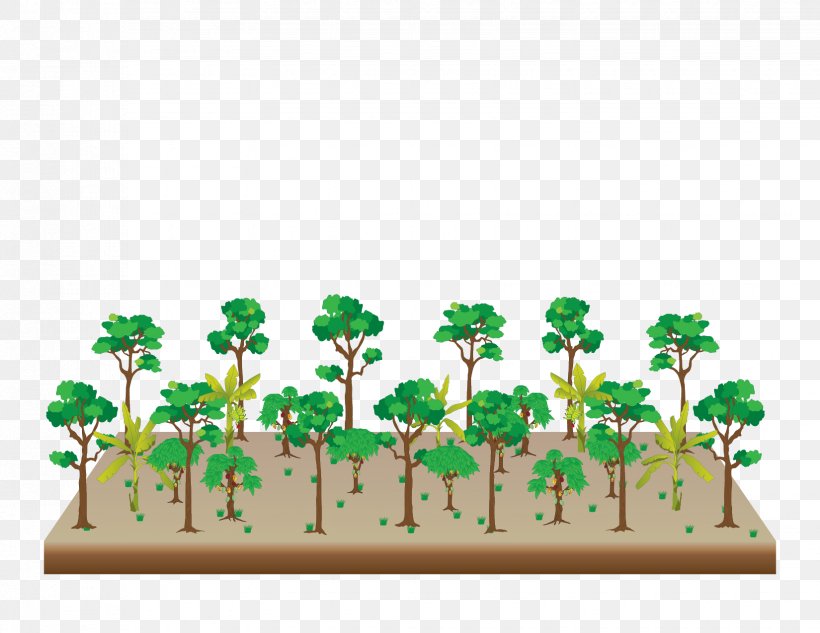 Tree Agroforestry Graphic Design Apuntes De Clase Del Curso Corto: Sistemas Agroforestales, PNG, 1650x1275px, Tree, Agroforestry, Business Cards, Cacao Tree, Drawing Download Free