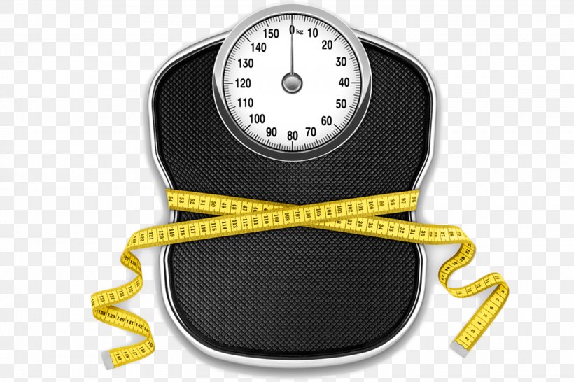 Weight Loss Measuring Scales Adipose Tissue Body Fat Percentage, PNG, 3000x2000px, Weight Loss, Adipose Tissue, Body Fat Percentage, Gauge, Hardware Download Free