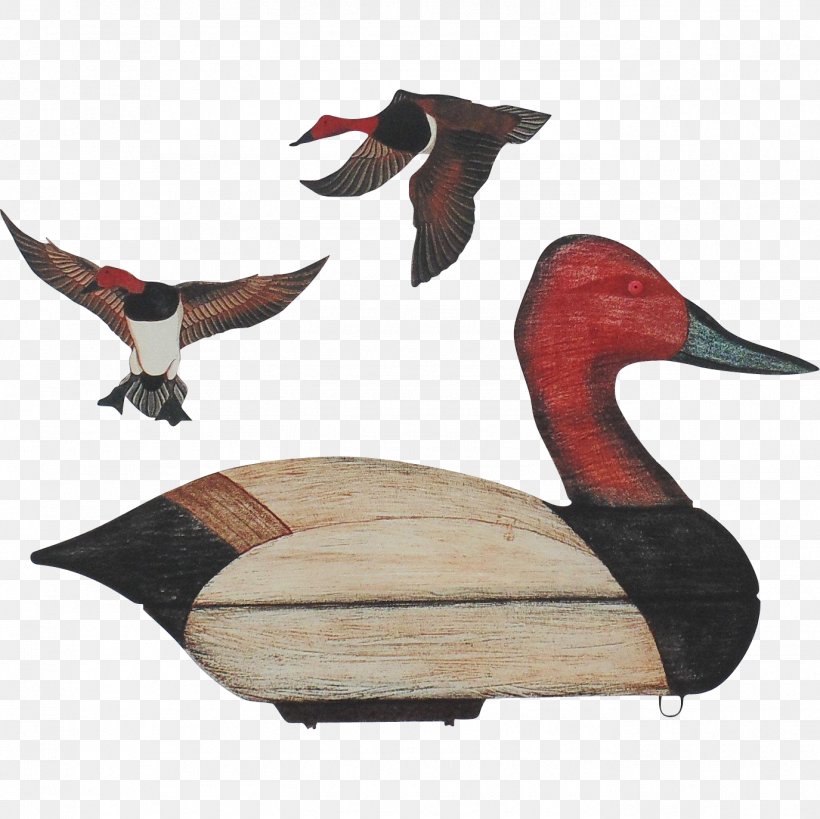 Duck Goose Fauna Beak, PNG, 1375x1375px, Duck, Beak, Bird, Ducks Geese And Swans, Fauna Download Free