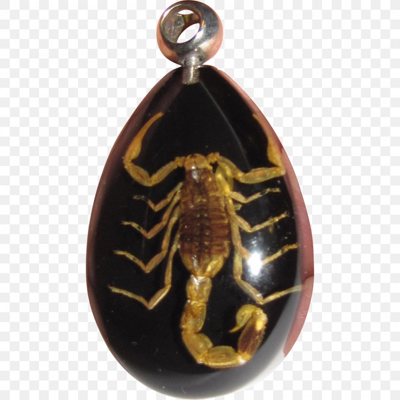 Locket Charms & Pendants Jewellery Invertebrate Amber, PNG, 1692x1692px, Locket, Amber, Charms Pendants, Invertebrate, Jewellery Download Free