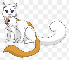 Cat - Cat Whiskers Warriors Brightheart Cloudtail PNG