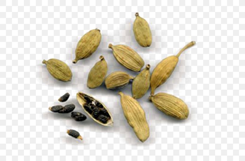 True Cardamom Fruit Nutmeg Spice, PNG, 600x538px, True Cardamom, Black Cardamom, Caraway, Cardamom, Commodity Download Free