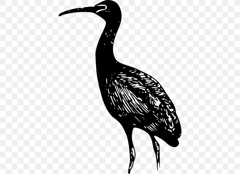 Bird Bald Eagle Ibis Clip Art, PNG, 420x596px, Bird, American White Ibis, Bald Eagle, Beak, Black And White Download Free