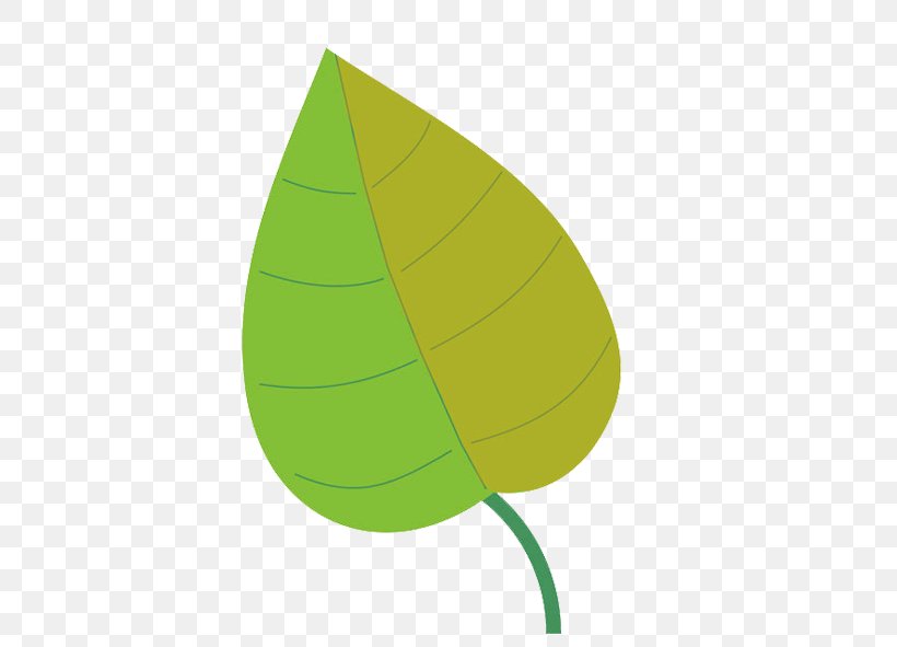 Leaf, PNG, 444x591px, Leaf, Green, Plant Download Free