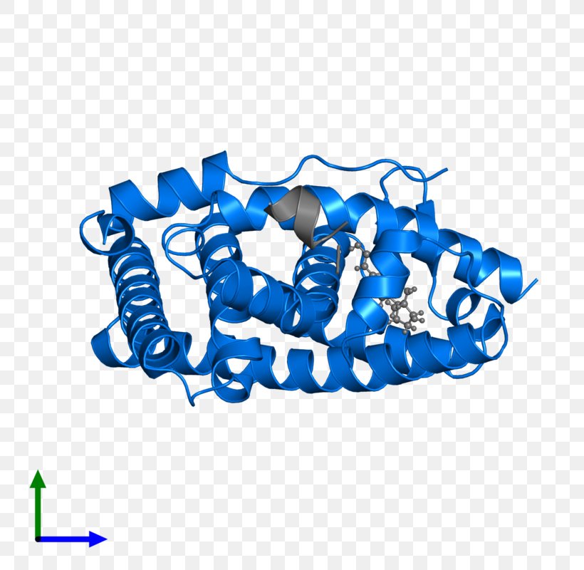 Logo Clip Art, PNG, 800x800px, Logo, Area, Blue, Symbol, Text Download Free