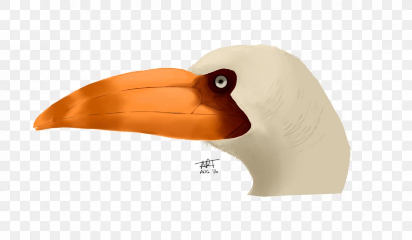 Bird Dinosaur Ramphastosula Miocene Beak, PNG, 1171x683px, Bird, Beak, Booby, Cenozoic, Dinosaur Download Free