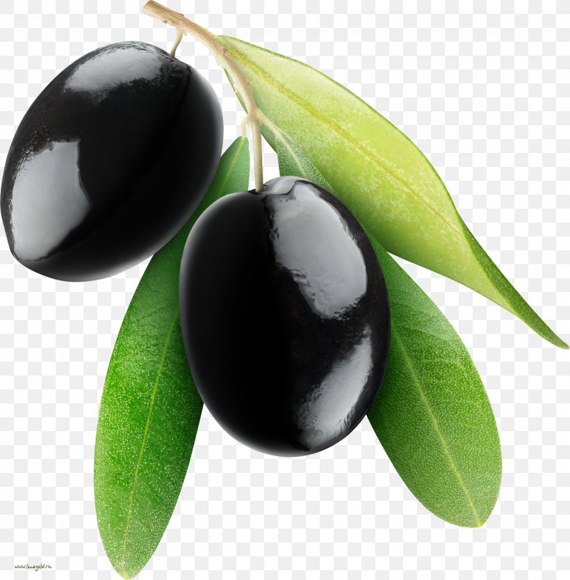 Fruit Olive, PNG, 3244x3302px, Mediterranean Cuisine, Food, Fruit, Image File Formats, Ingredient Download Free