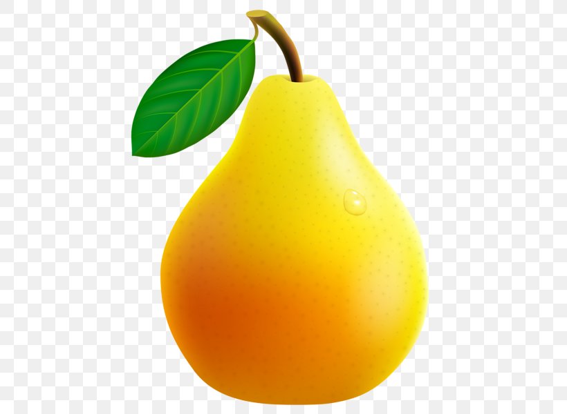Fruit Vegetable Pear Tomato Clip Art, PNG, 463x600px, Fruit, Asian Pear, Auglis, Chinese White Pear, Food Download Free