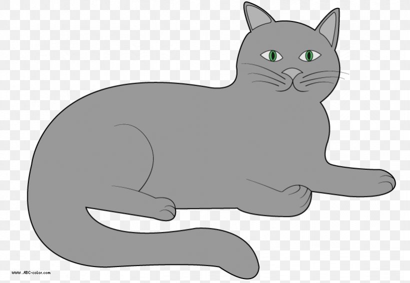 Korat Kitten Whiskers Domestic Short-haired Cat Black Cat, PNG, 822x567px, Korat, Black, Black And White, Black Cat, Carnivoran Download Free
