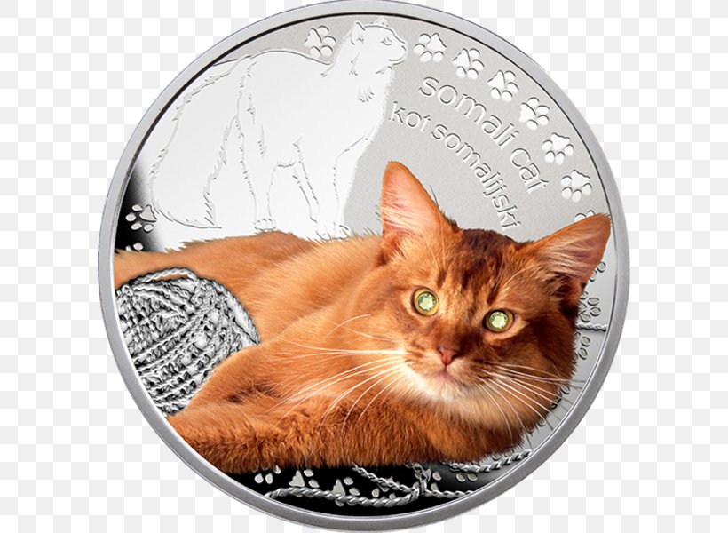 Maine Coon European Shorthair Whiskers Somali Cat Tabby Cat, PNG, 600x600px, Maine Coon, Bengal Cat, Breed, Bullion Coin, Carnivoran Download Free