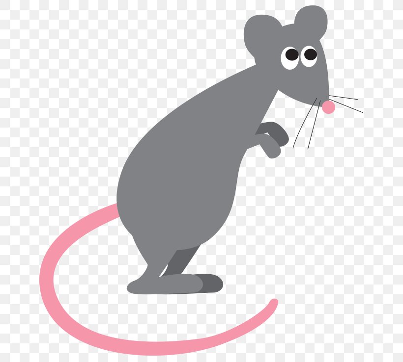 Murids Mouse Black Rat Cat Rodent, PNG, 679x738px, Murids, Artificial Nails, Beaver, Black Rat, Canidae Download Free