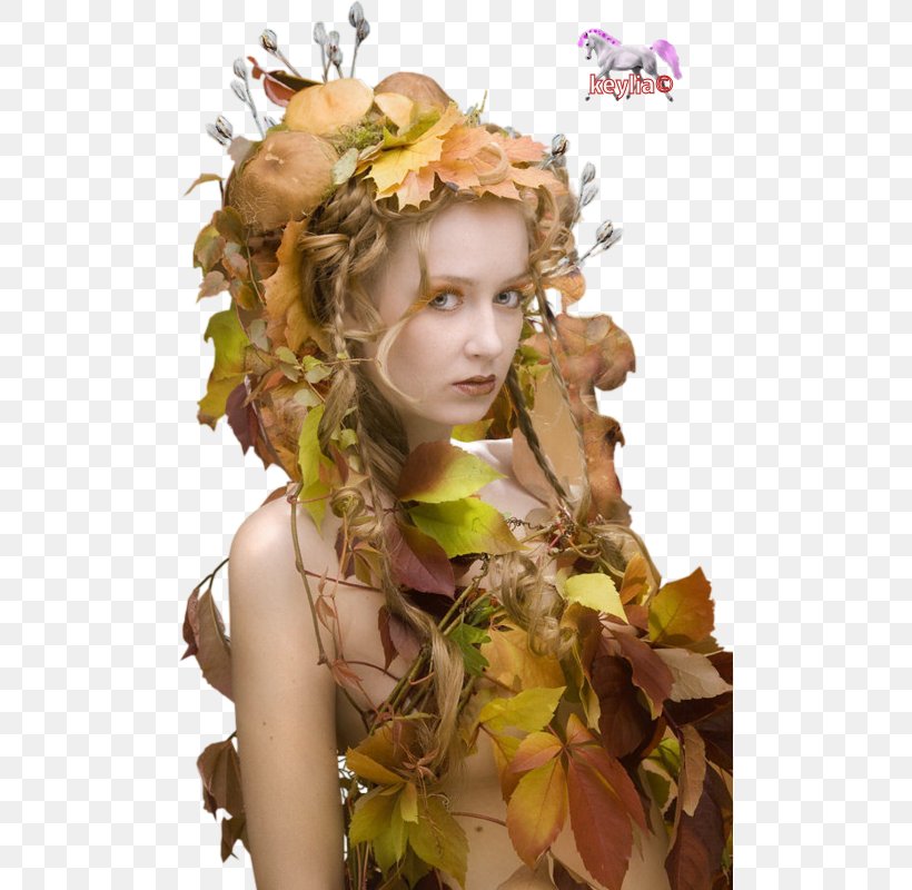 Woman Female Bust, PNG, 499x800px, Woman, Autumn, Bayan, Brown Hair, Bust Download Free