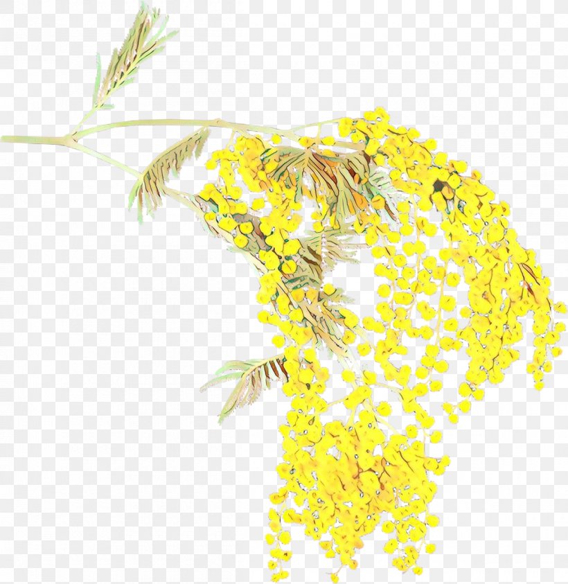 Yellow Plant Flower, PNG, 1200x1235px, Cartoon, Flower, Plant, Yellow Download Free