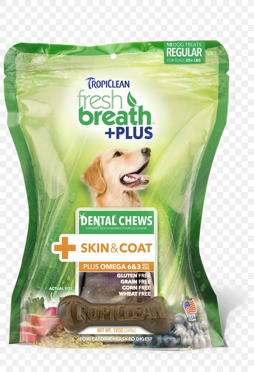 Dog Teeth Cleaning Dentistry Cat, PNG, 800x1200px, Dog, Cat, Cleaning, Dental Plaque, Dentistry Download Free