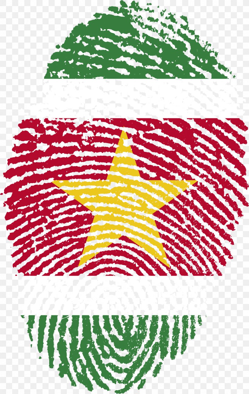 Flag Of The Philippines Flag Of Pakistan Fingerprint, PNG, 1573x2488px, Philippines, Area, Fingerprint, Flag, Flag Of Bolivia Download Free