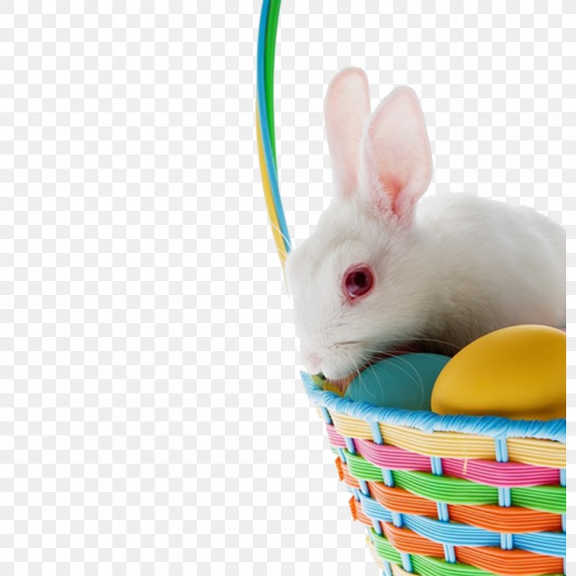 Easter Bunny Domestic Rabbit White, PNG, 1000x1000px, Easter Bunny, Basket, Blue, Cuteness, Domestic Rabbit Download Free
