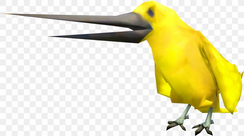 Bird Beak Yellow Songbird Perching Bird, PNG, 1216x679px, Bird, Beak, Perching Bird, Songbird, Wing Download Free