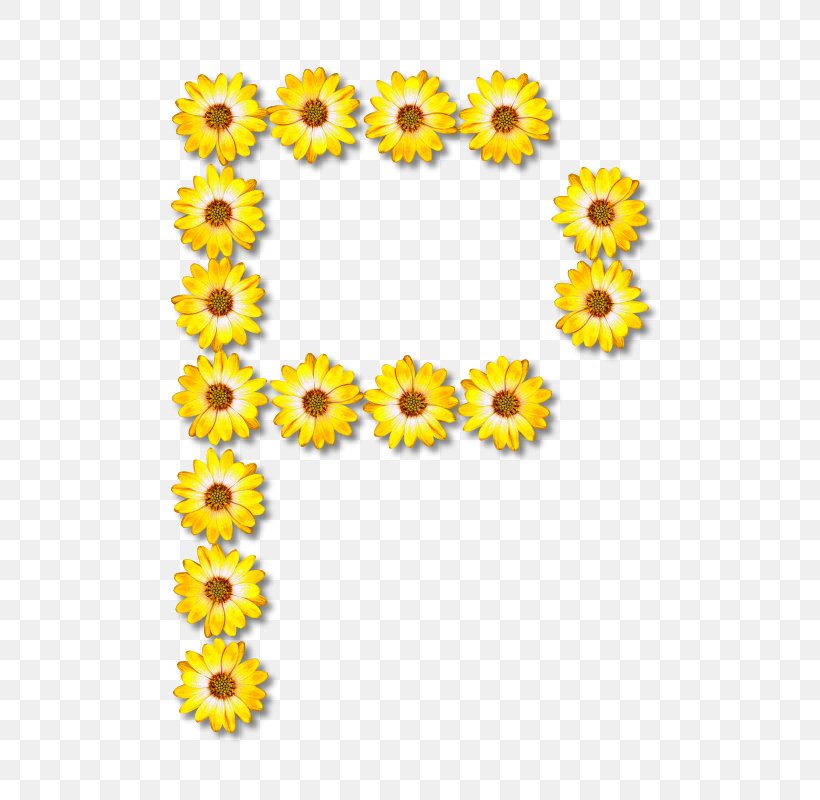 Common Sunflower Floral Design Letter Alphabet, PNG, 572x800px, Common Sunflower, Alphabet, Calendula, Chrysanths, Cut Flowers Download Free