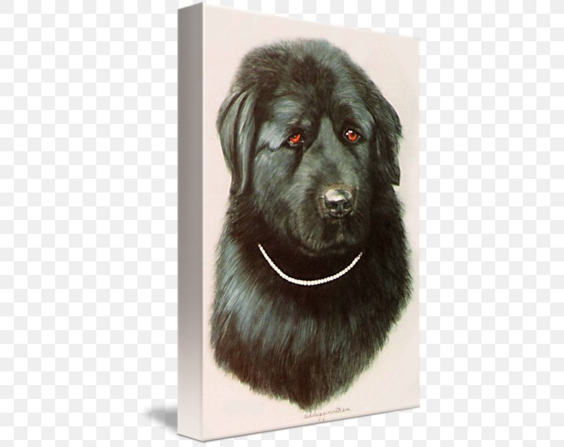 Dog Breed Newfoundland Dog Sarplaninac Leonberger Puppy, PNG, 411x650px, Dog Breed, Ancient Dog Breeds, Breed, Carnivoran, Crossbreed Download Free