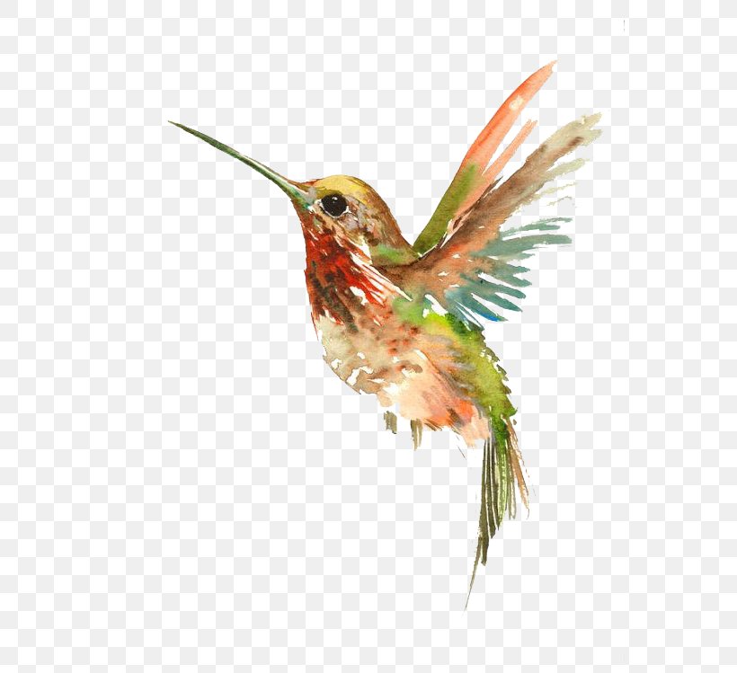 Hummingbird Watercolor Painting Tattoo, PNG, 570x749px, Hummingbird, Abziehtattoo, Art, Beak, Bird Download Free