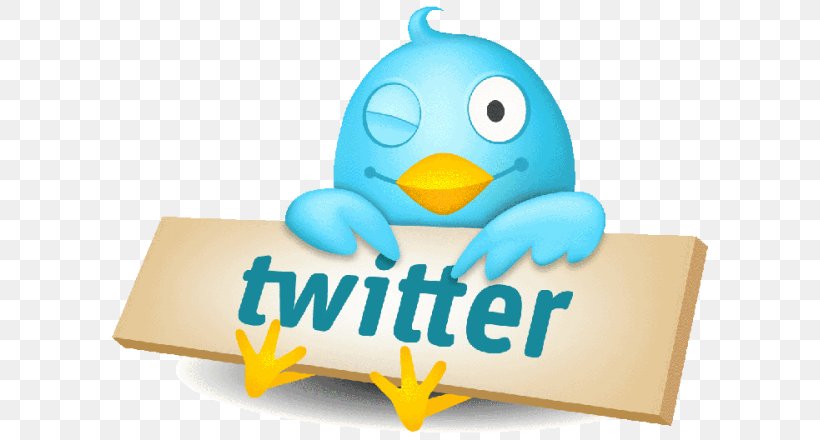 Social Media Logo Twitter Animaatio Image, PNG, 667x440px, Social Media, Animaatio, Beak, Bird, Brand Download Free