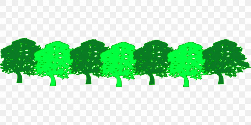 Tree Green Forest Clip Art, PNG, 1920x960px, Tree, Forest, Grass, Green, Leaf Download Free